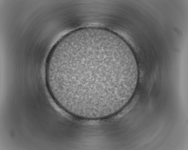 X0000112851038200910021247