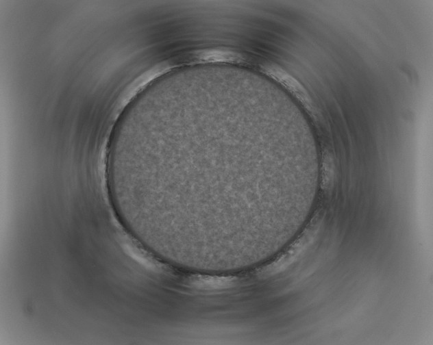 X0000112851039200910021247