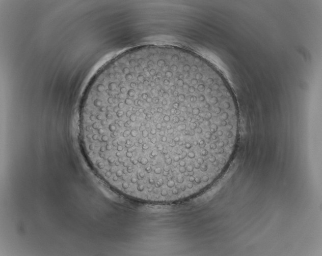 X0000112851040200910021247