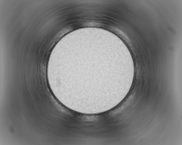 X0000112851041200910021247