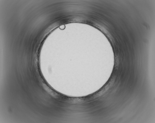 X0000112851042200910021247