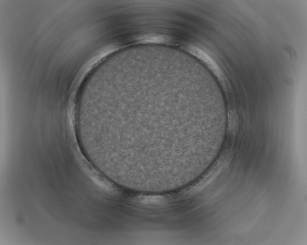 X0000112851043200910021247