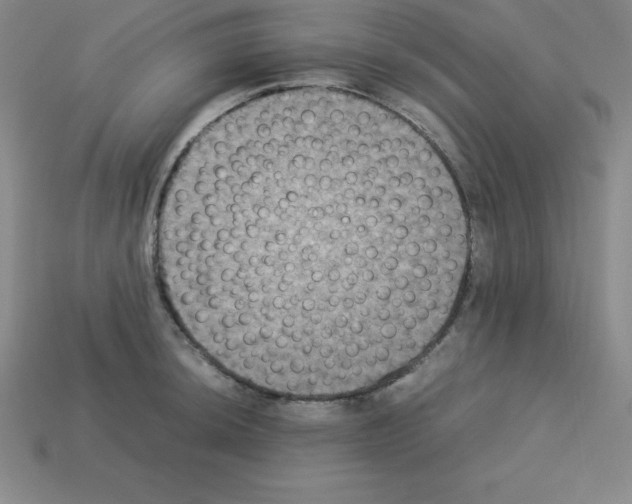 X0000112851044200910021247