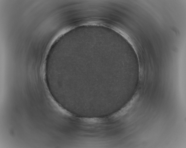 X0000112851045200910021247