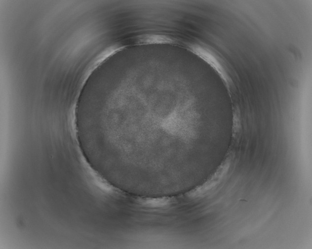 X0000112851047200910021247