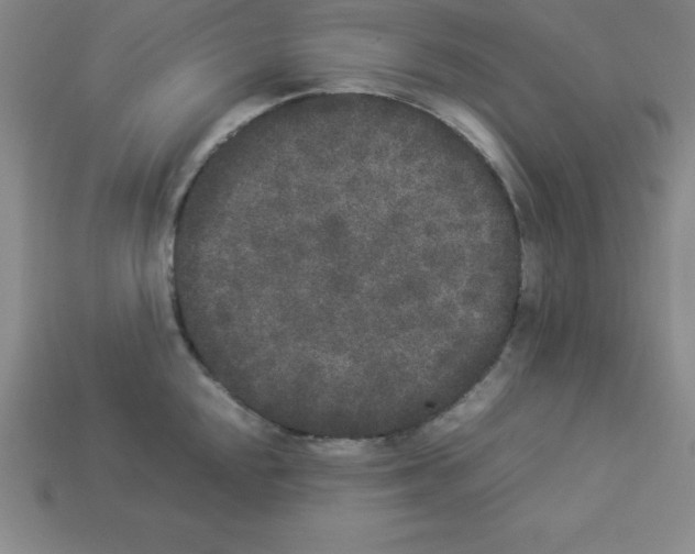 X0000112851048200910021247