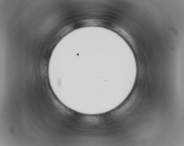 X0000112851049200910021247