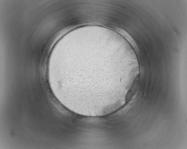 X0000112851052200910021247