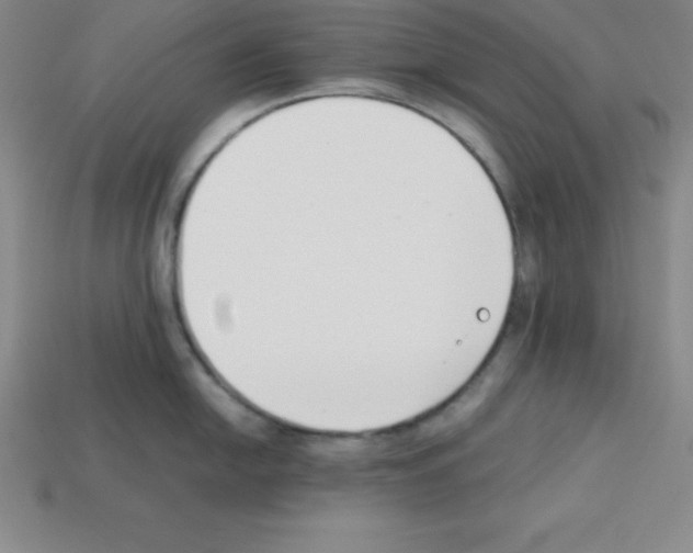 X0000112851054200910021247