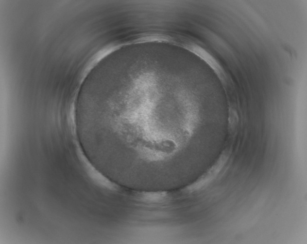 X0000112851055200910021247