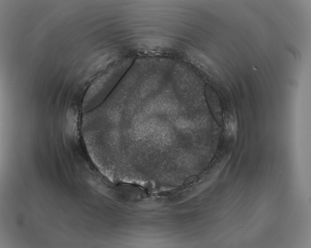 X0000112851060200910021247