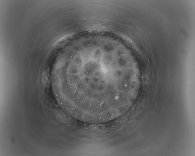 X0000112851063200910021247