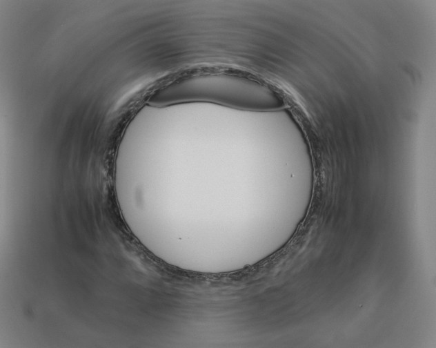 X0000112851064200910021247