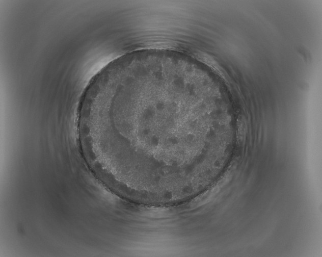 X0000112851071200910021247