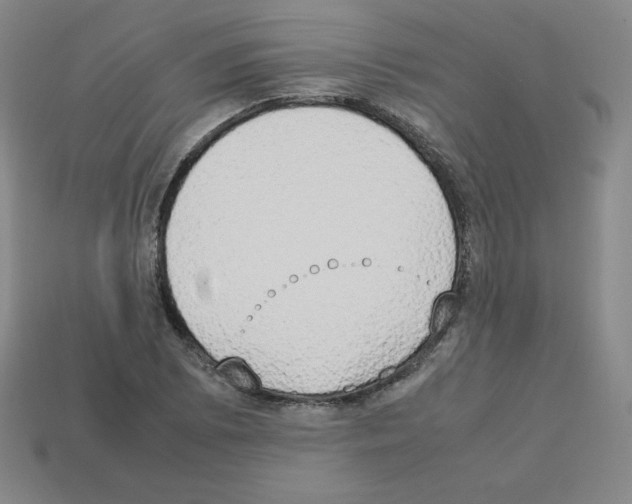 X0000112851073200910021247