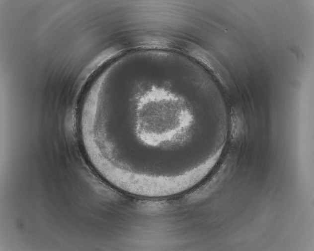 X0000112851074200910021247