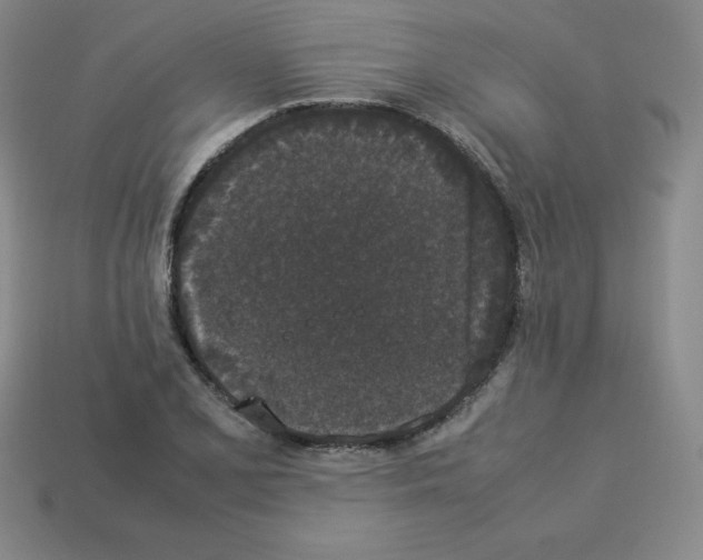 X0000112851077200910021247