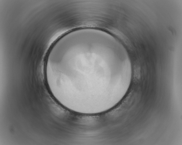 X0000112851078200910021247