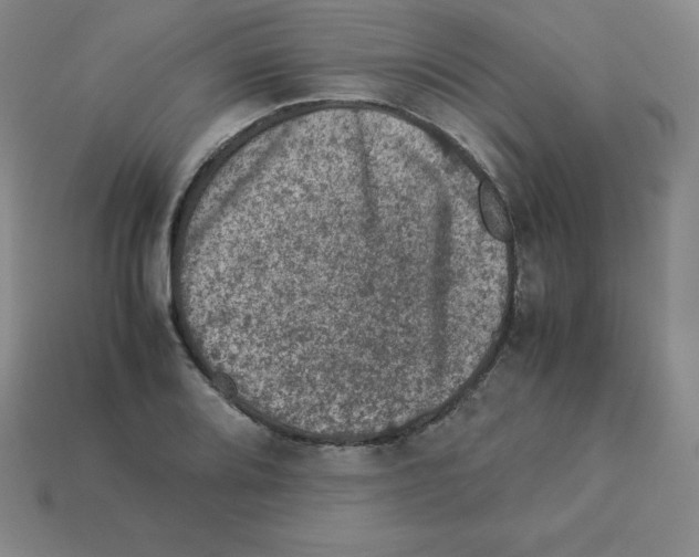 X0000112851080200910021246