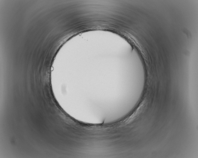 X0000112851081200910021246