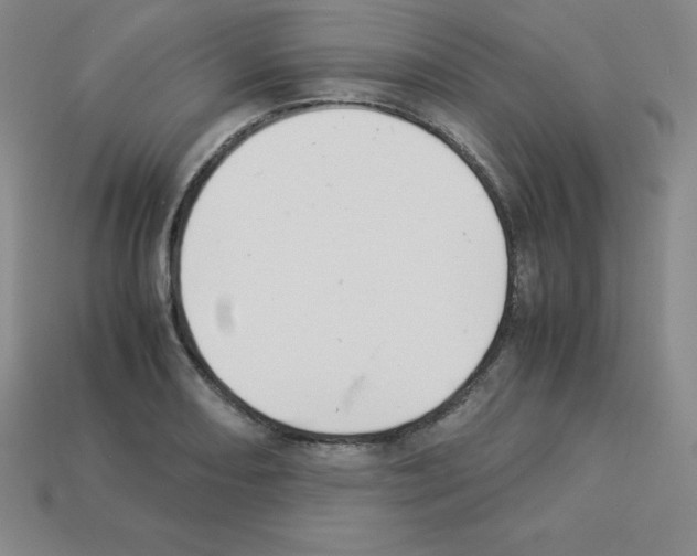 X0000112851082200910021246