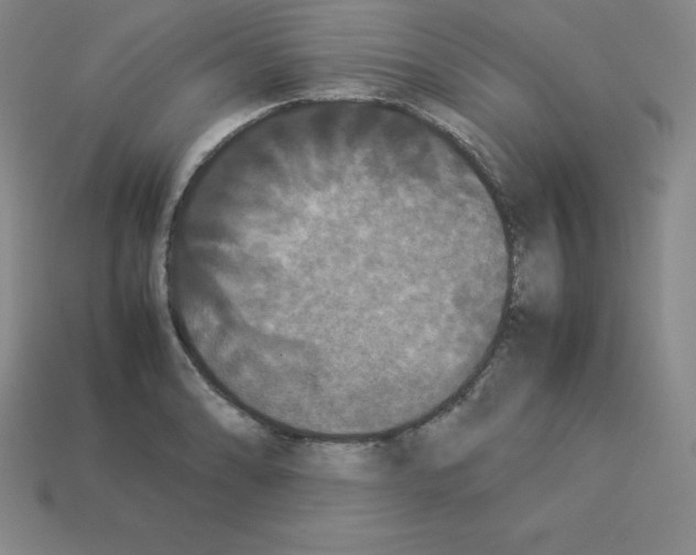 X0000112851086200910021246