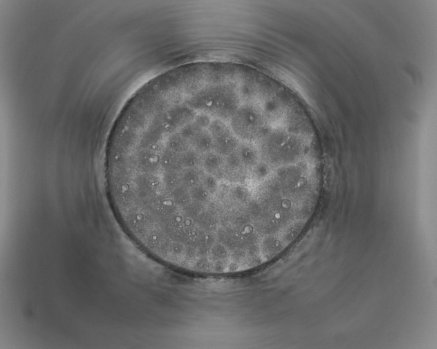 X0000112851087200910021246