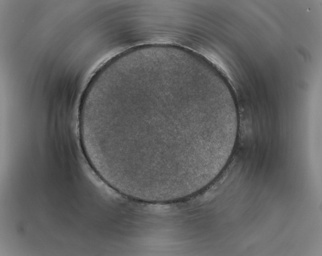 X0000112851088200910021246