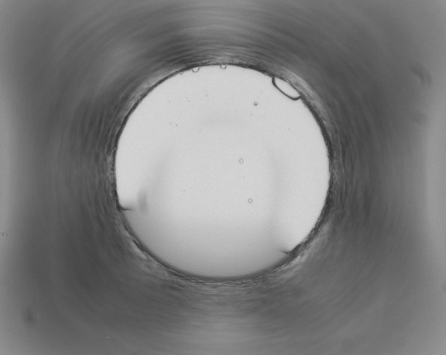 X0000112851089200910021246