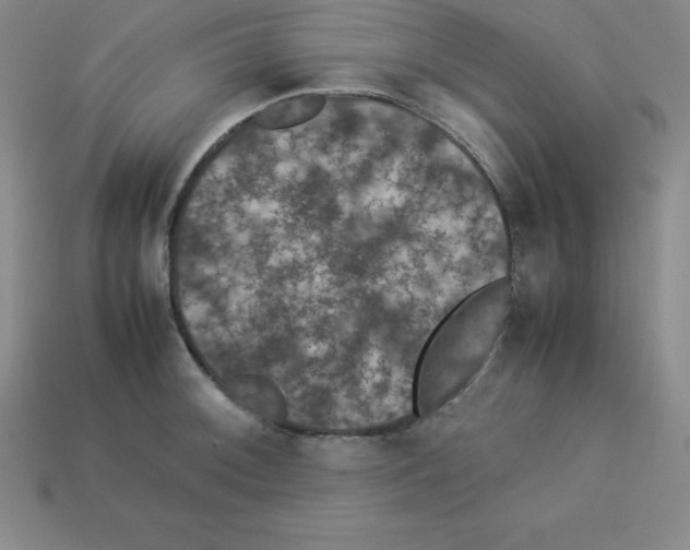 X0000112851092200910021246