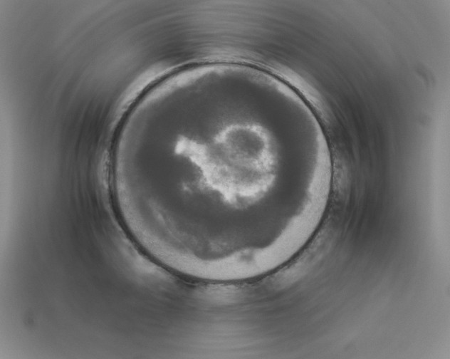 X0000112851094200910021246