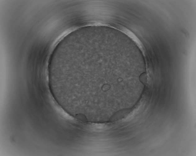 X0000112851096200910021246