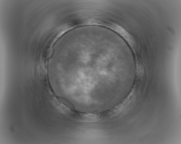 X0000112851097200910021246