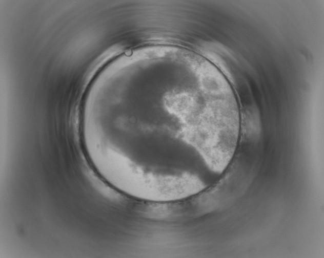 X0000112851098200910021246