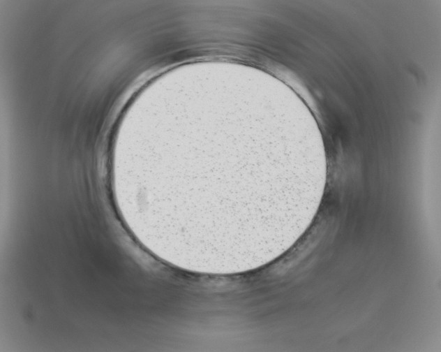 X0000112851099200910021246