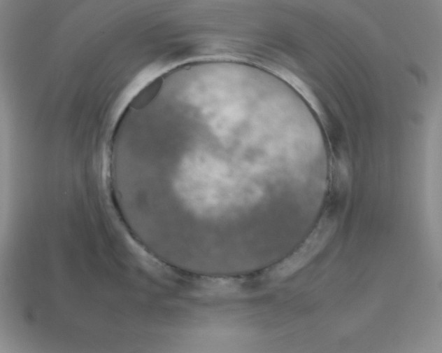 X0000112851101200910021246