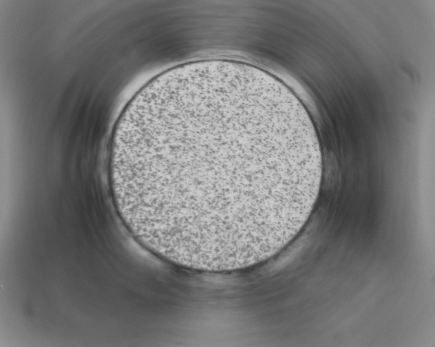 X0000112851102200910021246