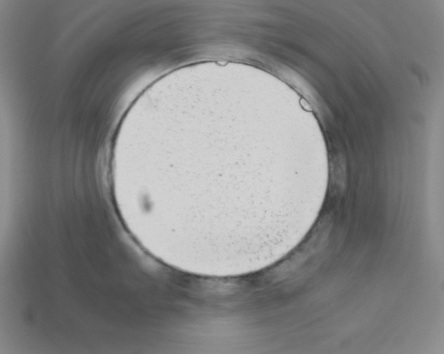 X0000112851103200910021246