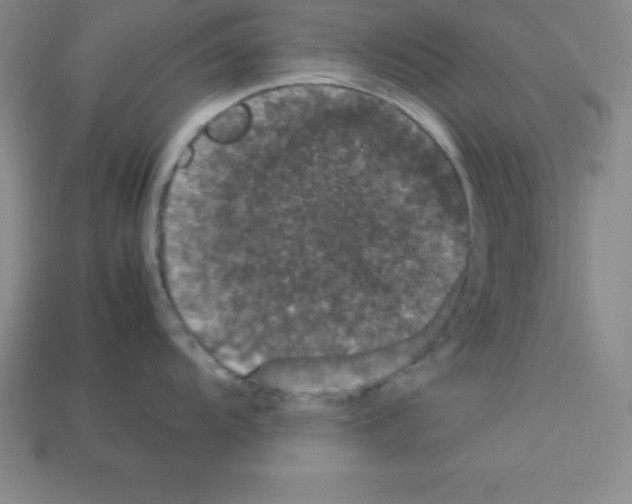 X0000112851104200910021246