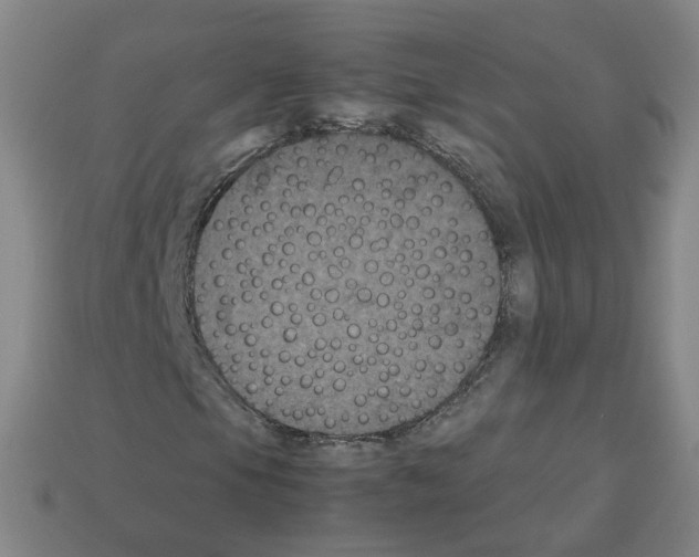 X0000112851105200910021246