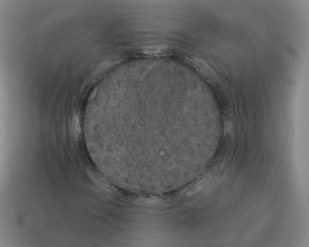 X0000112851106200910021246