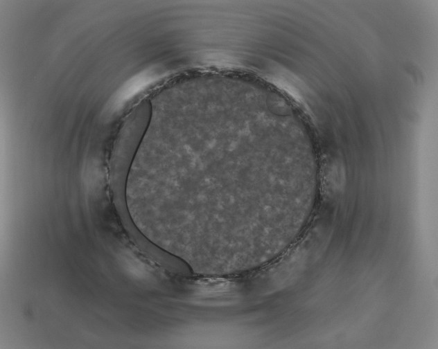 X0000112851112200910021246