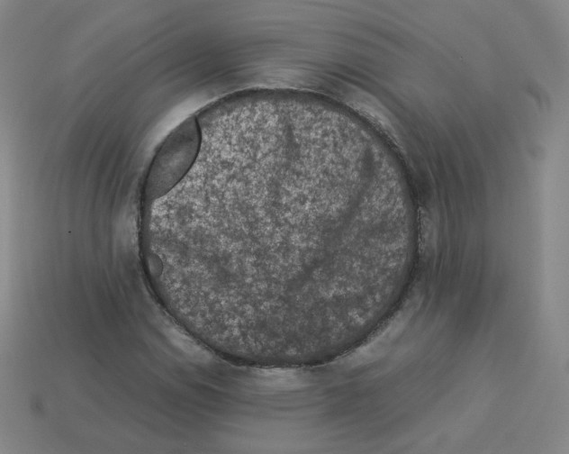 X0000112851114200910021246