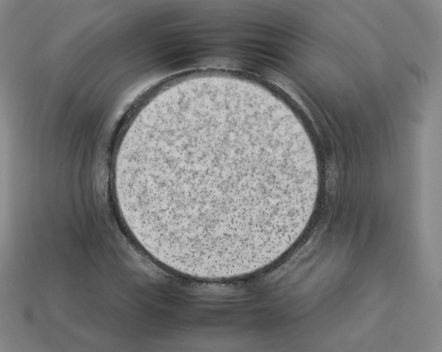 X0000112851115200910021246