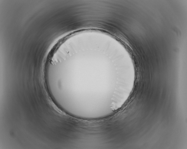 X0000112851116200910021246