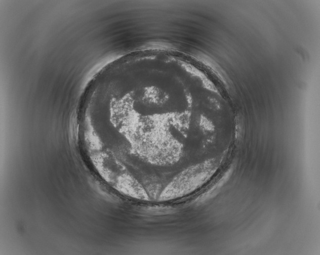 X0000112851117200910021246