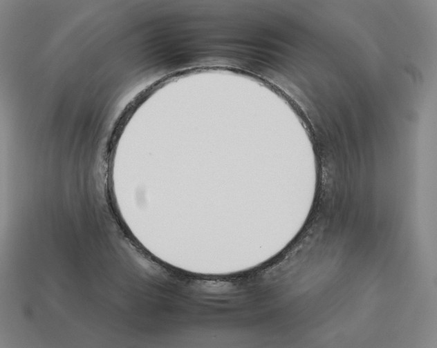 X0000112851119200910021246