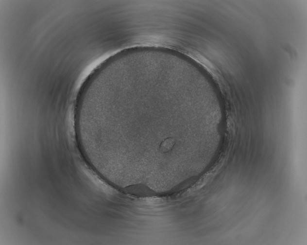 X0000112851120200910021246