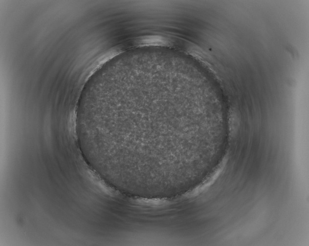 X0000112851121200910021246