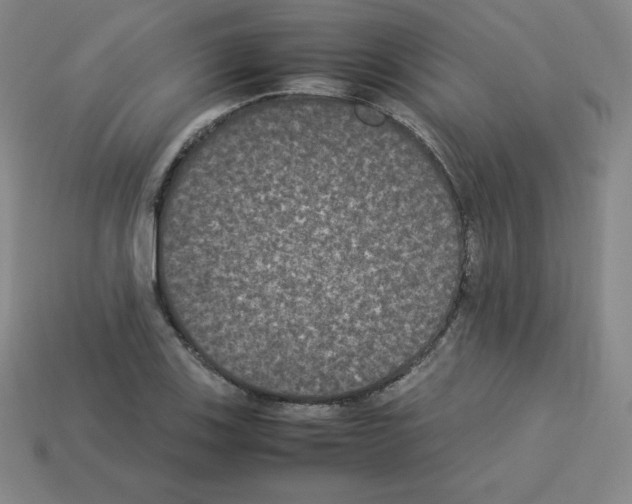 X0000112851123200910021246